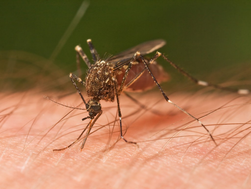 The Mississippi Department of Health is urging all residents to protect themselves from mosquitoes. 