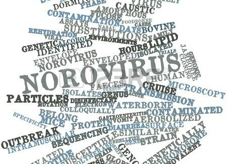 16739805-abstract-word-cloud-for-norovirus-with-related-tags-and-terms