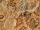 NASA's Perseverance Mars rover took this close-up of a rock target nicknamed “Foux” using its WATSON camera on July 11, 2021. (NASA, JPL-Caltech, MSSS/Zenger)