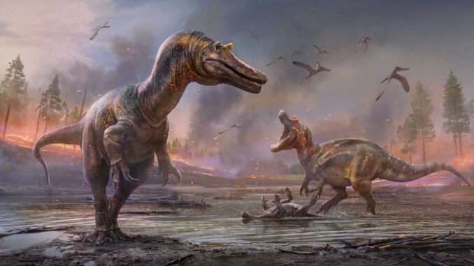 An artist's impression of spinosaurids of the Cretaceous Era — Ceratosuchops inferiodios (left) and Riparovenator milnerae. Researchers are studying the fossilized remains of two spinosaurids found on the Isle of Wright. (Anthony Hutchings)